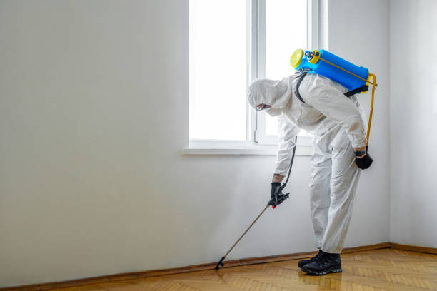 Best Pest Prevention Services  in Coolidge, AZ